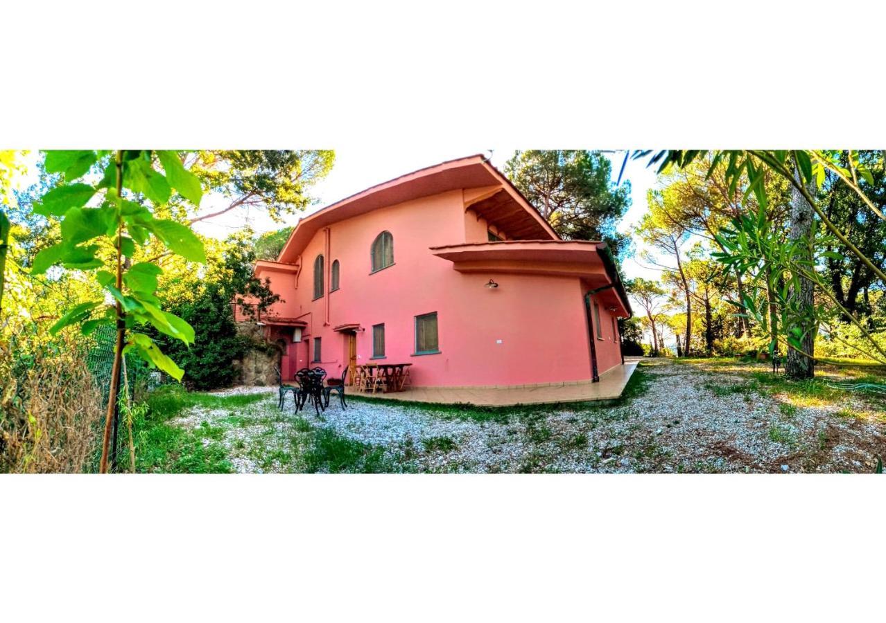 Agriturismo Poggio Al Pino Montelupo Fiorentino Exterior photo