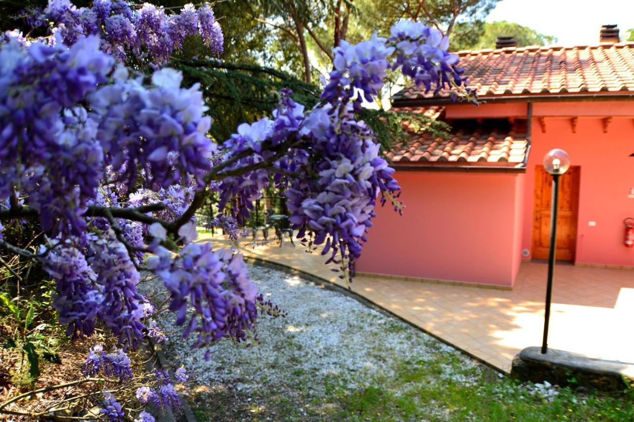 Agriturismo Poggio Al Pino Montelupo Fiorentino Exterior photo